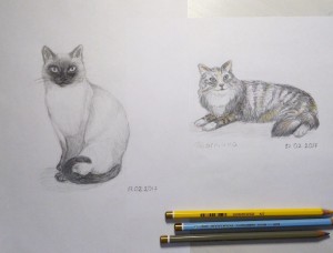 коты карандашом