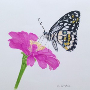 Бабочка на цветке маркерами
